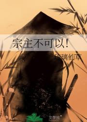 宗主不可以！