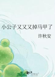 小公子又又又掉马甲了