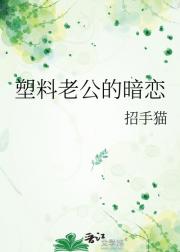 塑料老公的暗恋