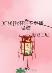 [红楼]我替迎春薛蟠做媒