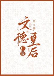 广夏：文德皇后
