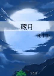 藏月