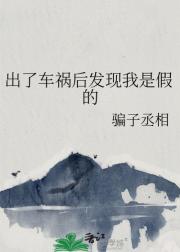 出了车祸后发现我是假的