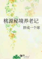 桃源秘境养老记