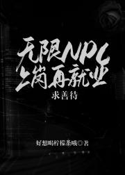 无限npc上岗再就业，求善待