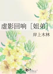 虚影回响［姐弟］