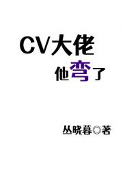 cv大佬他弯了