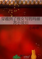 穿越到了侄女写的玛丽苏小说后