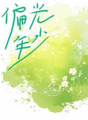 偏光年少