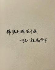 一只鸟的爱人