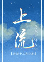 上流（总裁和练习生）