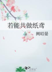 若能共做纸鸢