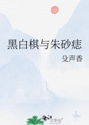 黑白棋与朱砂痣