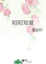 昭昭知夏