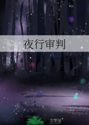 夜行审判