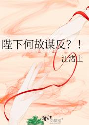 陛下何故谋反？！
