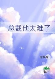 总裁他太难了