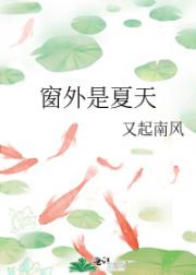 窗外是夏天