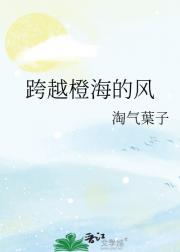 跨越橙海的风