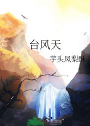 台风天