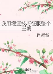 我用灌篮技巧征服整个王朝