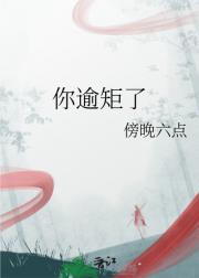 你逾矩了