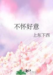 不怀好意