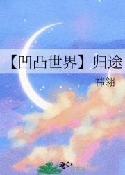 【凹凸世界】归途