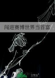 闯进赛博世界当首富