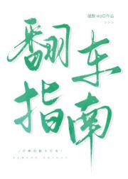 学霸的翻车指南