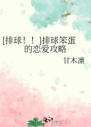 [排球！！]排球笨蛋的恋爱攻略