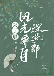 采了那风光霁月探花郎