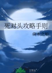 死对头攻略手则