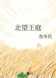 北望王庭