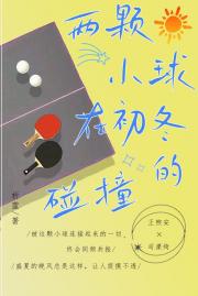 两颗小球在初冬的碰撞