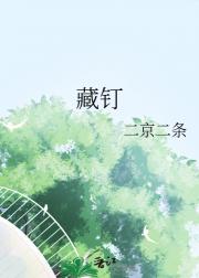 藏钉