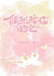 短命人和长寿猫