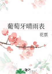 葡萄牙晴雨表