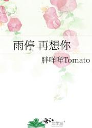 雨停 再想你