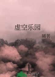 虚空乐园