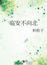 临安不向北