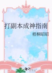 打副本成神指南