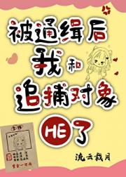 被通缉后，和追捕对象HE了