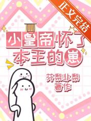 小皇帝怀了本王的崽