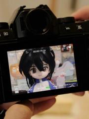 【番外集】如何把鸽子炸至两面金黄