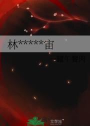 林墨的平行宇宙