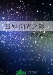 四神·向光之影