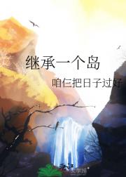继承一个岛