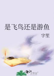是飞鸟还是游鱼