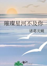 璀璨星河不及你